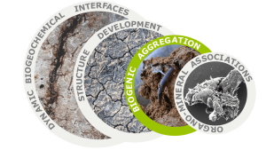 Pathways of biogenically excreted organic matter into soil aggregates