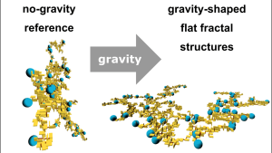 Guhra et al. 2021 - The mechanisms of gravity-constrained aggregation in natural colloidal suspensions